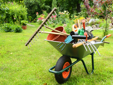 Professional Garden Maintenance Services in Dubai